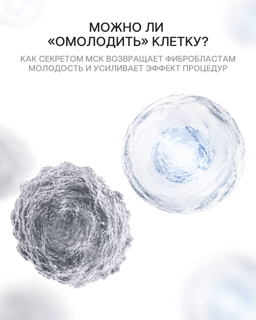 Можно ли омолодить клетку? Как секретом МСК REGENIQUE® помогает вернуть фибробластам активность