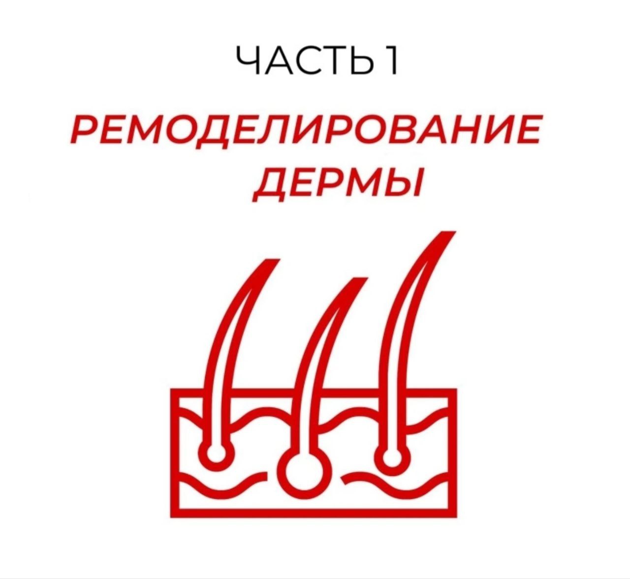РЕМОДЕЛИРОВАНИЕ ДЕРМЫ. ЧАСТЬ 1